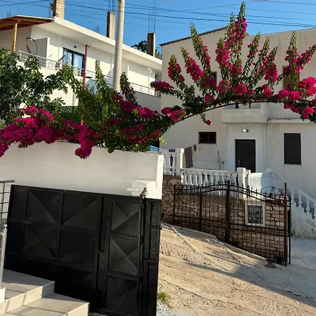 Niko Daire Saranda
